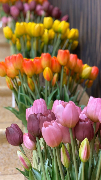 EDG Enzo de Gasperi Bouquet of orange tulips