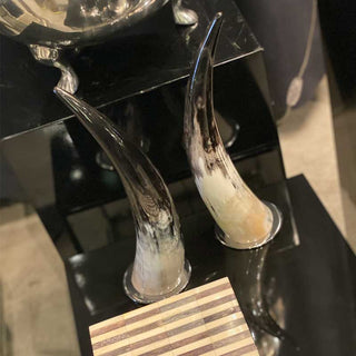 Abhika Decoration Horn in Bone 31 cm