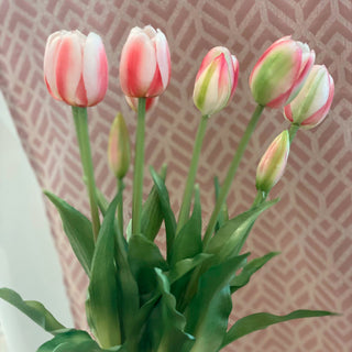 EDG Enzo De Gasperi Set 2 Bouquet Di Tulipani Sfumature Di Rosa