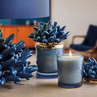Melaverde Small Blue Anemone Candle 100 gr