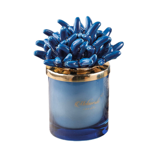 Melaverde Large Blue Anemone Candle 300 gr