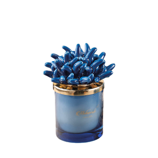 Melaverde Candela Piccola Anemone Blu 100 gr