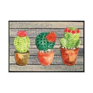 Lavar + Secar Alfombra Jardin de Cactus 50x75 cm