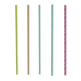 Tescoma Set of 24 Paper Straws My Drink