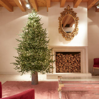 EDG Enzo de Gasperi Imperial Pino Christmas Tree 210 cm with 3200 MicroLeds