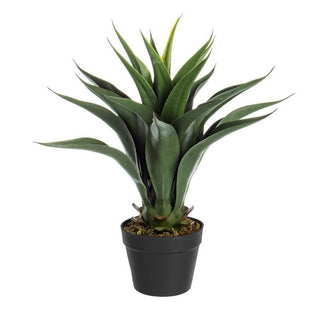 Andrea Bizzotto Agave plant with 25 leaves vase H60 cm