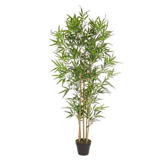 Andrea Bizzotto Bamboo plant with pot H 155cm