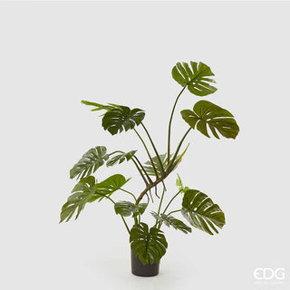 EDG Enzo De Gasperi Monstera plant with pot h128 cm