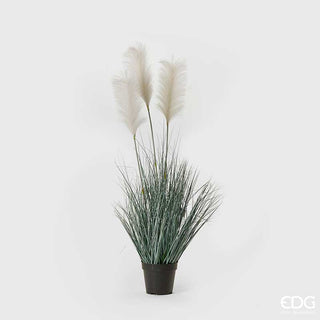 EDG White Pampas West planta 3 flores con jarrón H92 cm