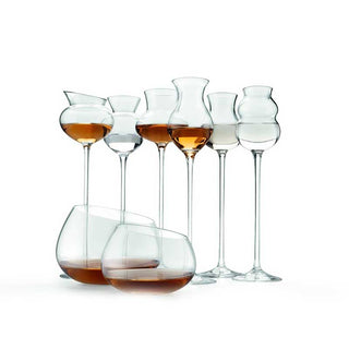 IVV I Distillati Set of 6 Assorted Transparent Goblets