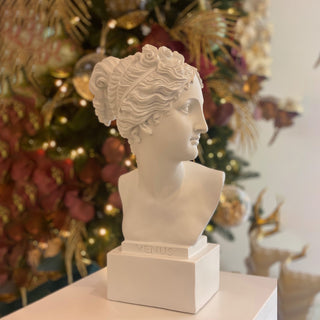Lamart Palais Royal Busto Venere Bianca H53 cm
