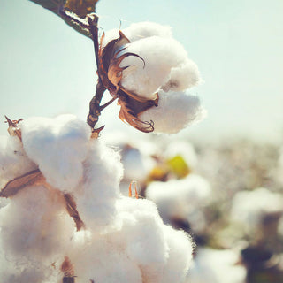 Mami Milano Cotton Cloud Anti-Odor Fabric Spray Molecule 250 ml