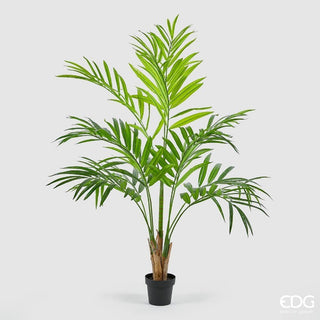 EDG Enzo De Gasperi Kenzia planta de palma H186 cm