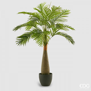 EDG Enzo De Gasperi Cactus Mix with Vase H60 cm – Le Gioie