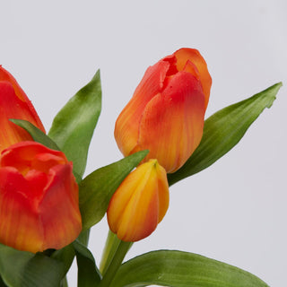 EDG Enzo De Gasperi Set 2 Bouquet Of Orange and Yellow Tulips H28 cm