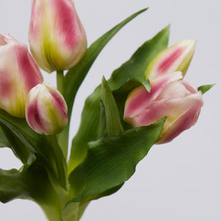 EDG Enzo De Gasperi Set 2 Bouquet Of Antique Pink Tulips H28 cm