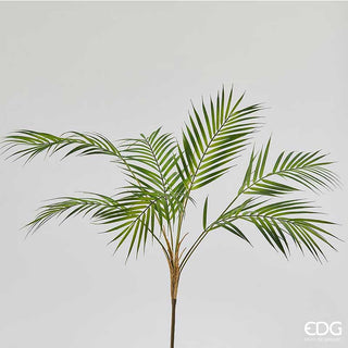 EDG Enzo De Gasperi Areca rama de palma 80 cm