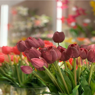 EDG Enzo de Gasperi Bouquet of Purple tulips